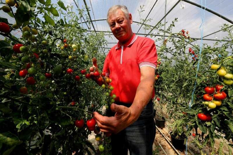 French tomato grower takes on Monsanto over weedkiller