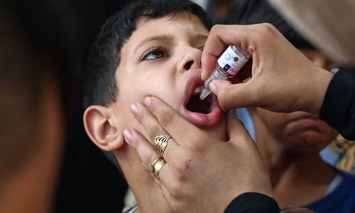 Gaza polio vaccination drive a 'massive success': WHO