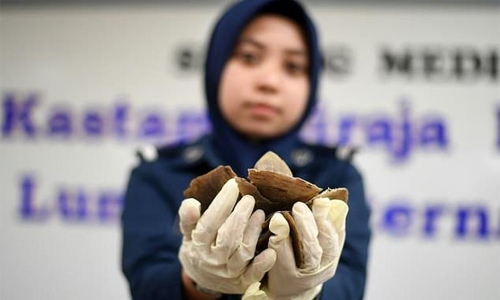 Malaysia seizes 300kg of pangolin scales