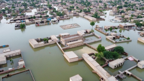 'We've gone back 50 years': Pakistan farmers count flood damage
