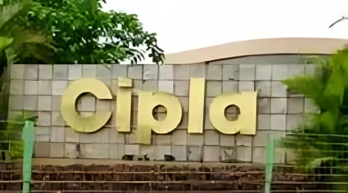 Cipla Shares Tumble as Nifty’s Biggest Loser – Key Factors Behind the Pharma Giant’s Fall