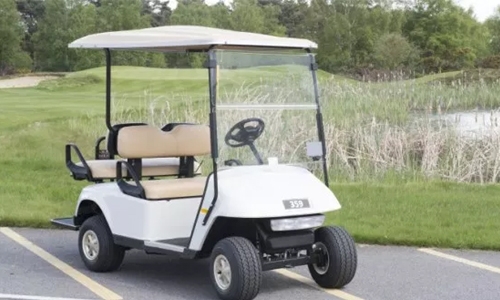 Tourists found drowned after golf-buggy collision
