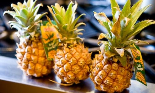 Mizoram pineapples eyeing Bahraini market 