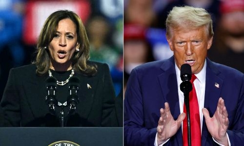 Harris or Trump: America decides in knife-edge election