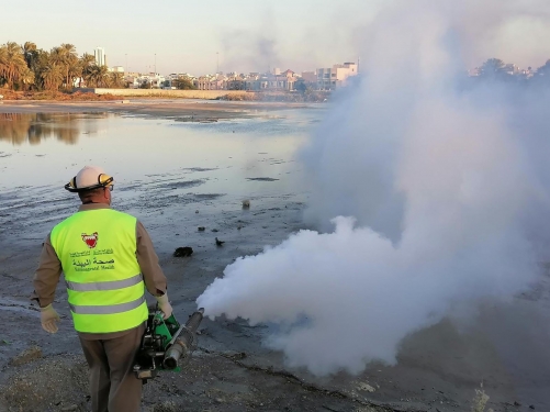 Mosquito control measures fast progressing in Bahrain: Health Ministry