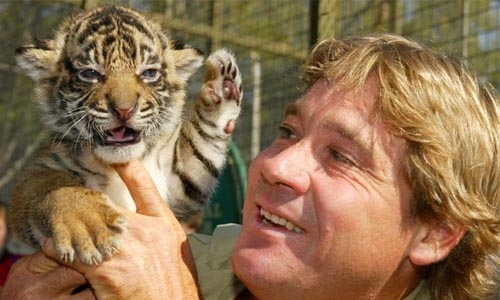 World pays tribute to 'Crocodile Hunter' Steve Irwin on 10th anniversary of his death