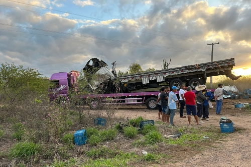 25 killed in bus, truck crash in Brazil