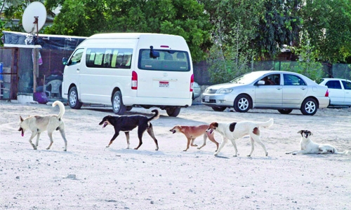 Tubli residents complain of stray dogs’ menace