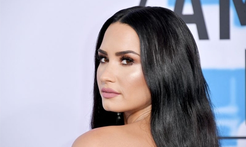 Lovato hits back at fan