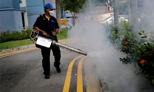 Scientists say Singapore Zika is Asian, cases reach 200