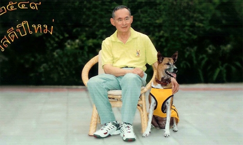 Thai faces jail for insulting king's dog