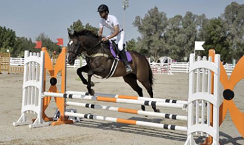 Showjumping Championship begins