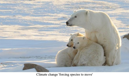 Climate change 'forcing species to move'