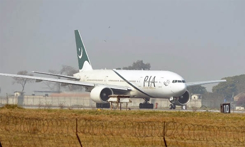Pakistan's national carrier mocked for goat sacrifice