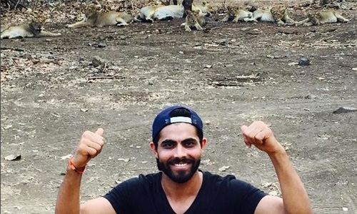 Indian cricketer faces probe over lion selfie