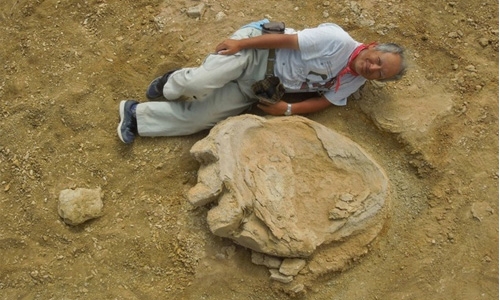 Giant dinosaur footprint discovered in Mongolia desert 