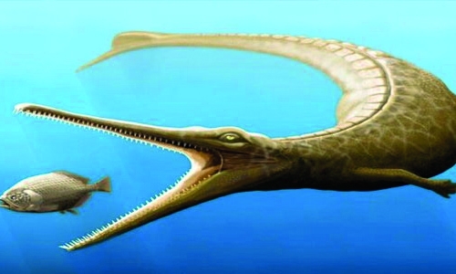 Jurassic fossil shows missing link in crocodile