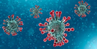 India's coronavirus infections rise to 6.63 million