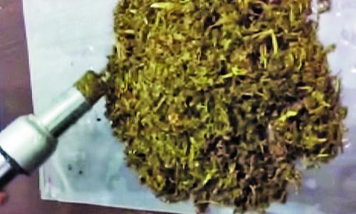 Bahrain customs foils attempt to smuggle marijuana