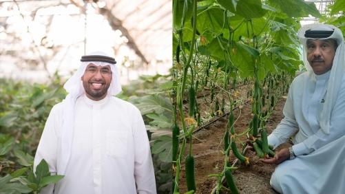 Mara’ee: Transforming Agriculture and Livestock in Bahrain with Innovation and Investment