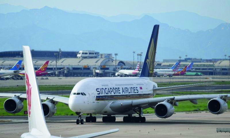 Singapore Airlines bans lion bones in cargo