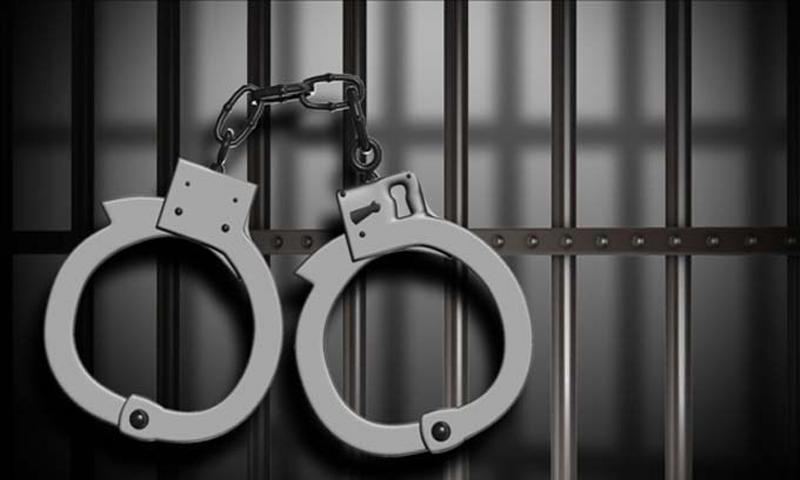 Pakistan jails ‘fake degree tycoon’