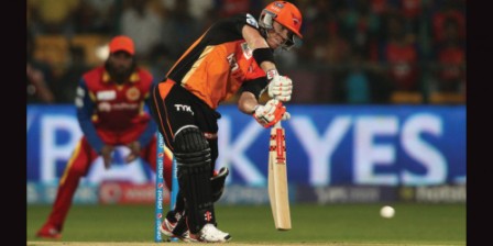 Sunrisers Hyderabad beat Royal Challengers Bangalore by 8 wickets