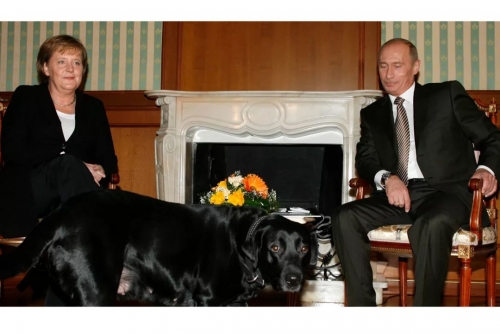 ‘Angela, forgive me’: Putin denies intentionally scaring Merkel with dog 