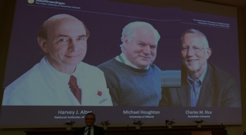 US-British trio win Nobel Medicine Prize for Hepatitis C discovery