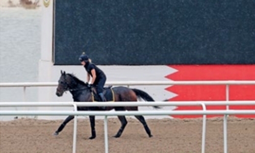 Bahrain hailed for success of historic horserace