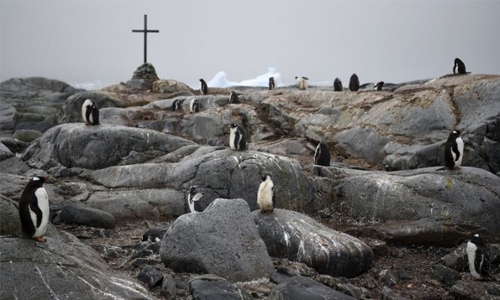 Ice cracks force shutdown of UK Antarctic station