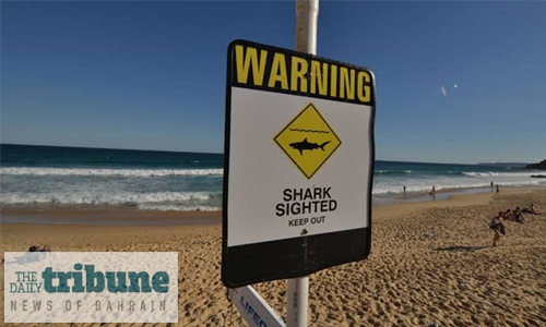 Diver killed in Australia shark attack