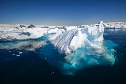 Antarctic sea ice rebounds from record lows: US scientists