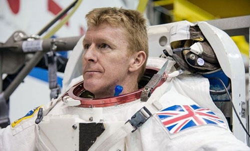 British astronaut's first spacewalk set for Jan 15