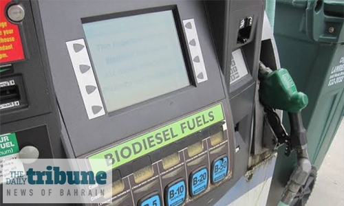 EU hits Indonesian biodiesel with import duties
