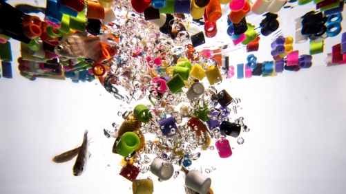 EU countries back stricter rules to curb microplastics pollution