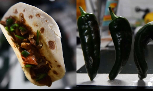 Astronaut makes tacos from 1st chilli peppers grown in space, pictures released
