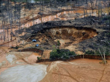 Amazon slowly eaten away by gold rush's illegal mines