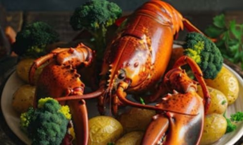 China to lift Australia lobster ban, ending costly trade war