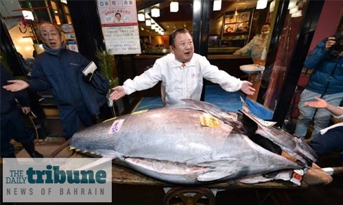 Japan ‘Tuna King’ buys new year catch for $1.8 million