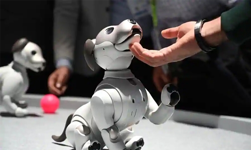 Now you may buy a Robocop dog for home