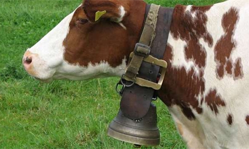 Austrian police hunt for cowbell thieves