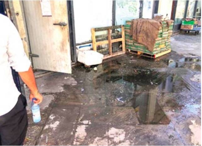 Health Ministry teams discover hygiene violations at restaurants