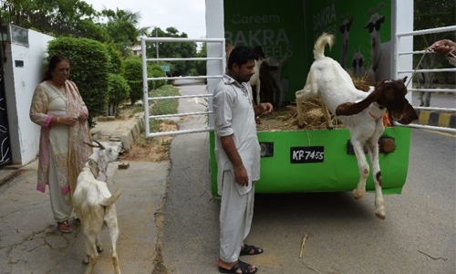 Need a sacrificial goat for Eid? Pakistan has an app for that