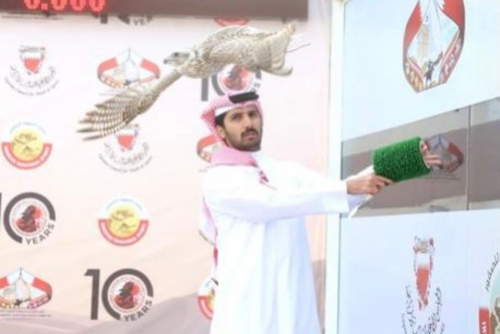 Soaring High: Thrills at Nasser bin Hamad falconry and hunting season 