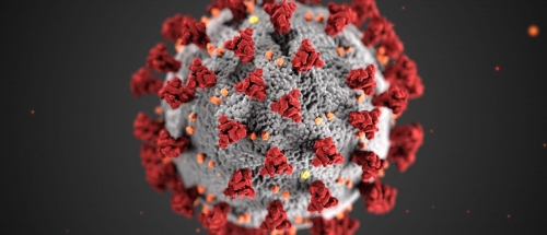 Coronavirus takes life of 21-year-old citizen