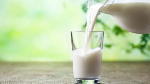 Health Ministry prohibits sale of unpasteurised milk in Bahrain