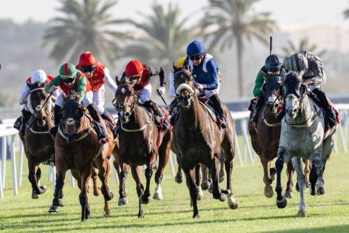 Bahrain horse racing season heats up with “Bahrain Bourse Cups” 