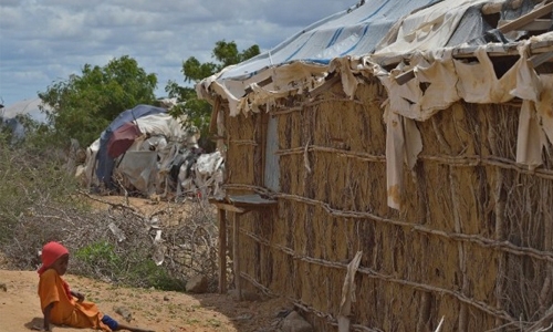 Cholera kills 10 Somalis in world's largest refugee camp