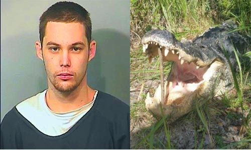 Fleeing burglar killed by alligator in Florida lake